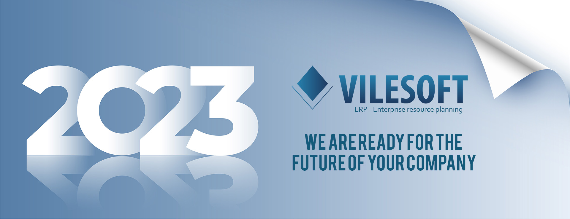 Vilesoft